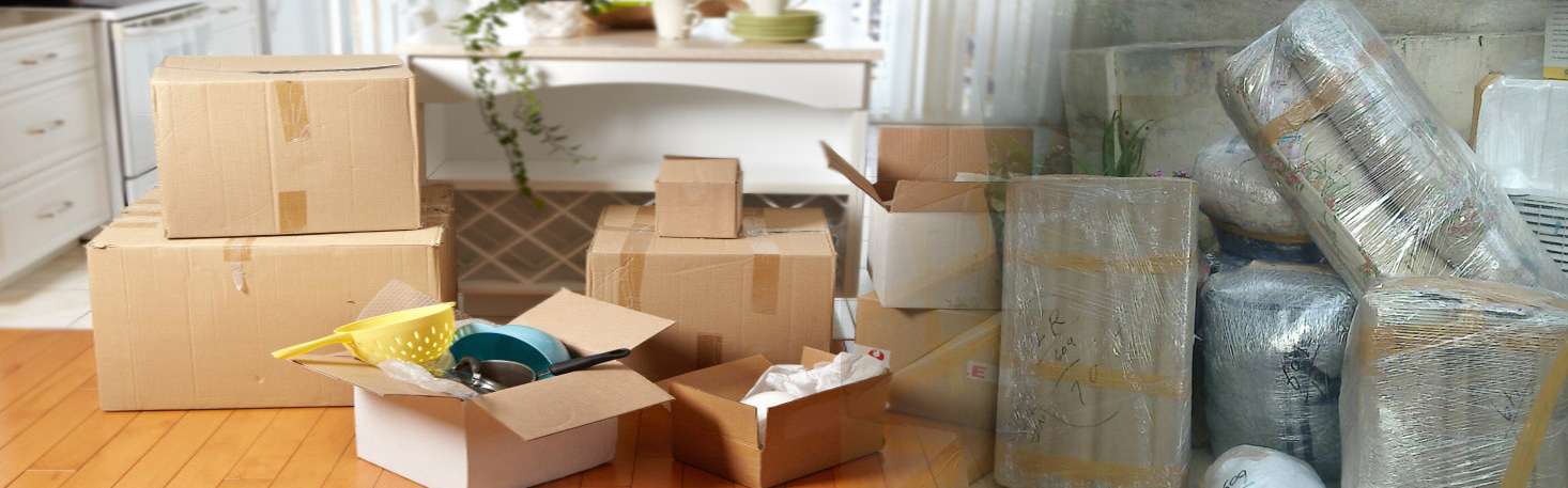 Professional Speed Packers and Movers